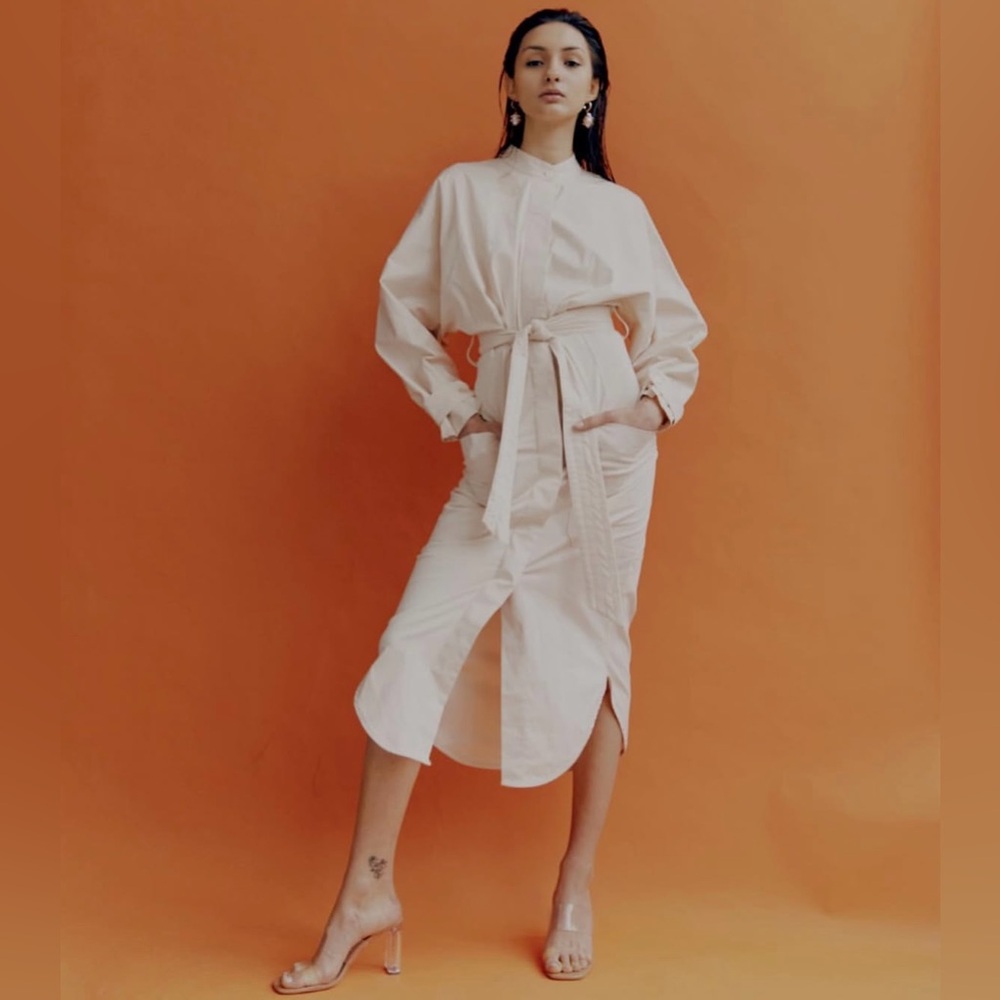 Zara Belted Dress